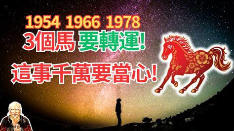 1978屬馬幸運色|屬馬人必看：1978命格